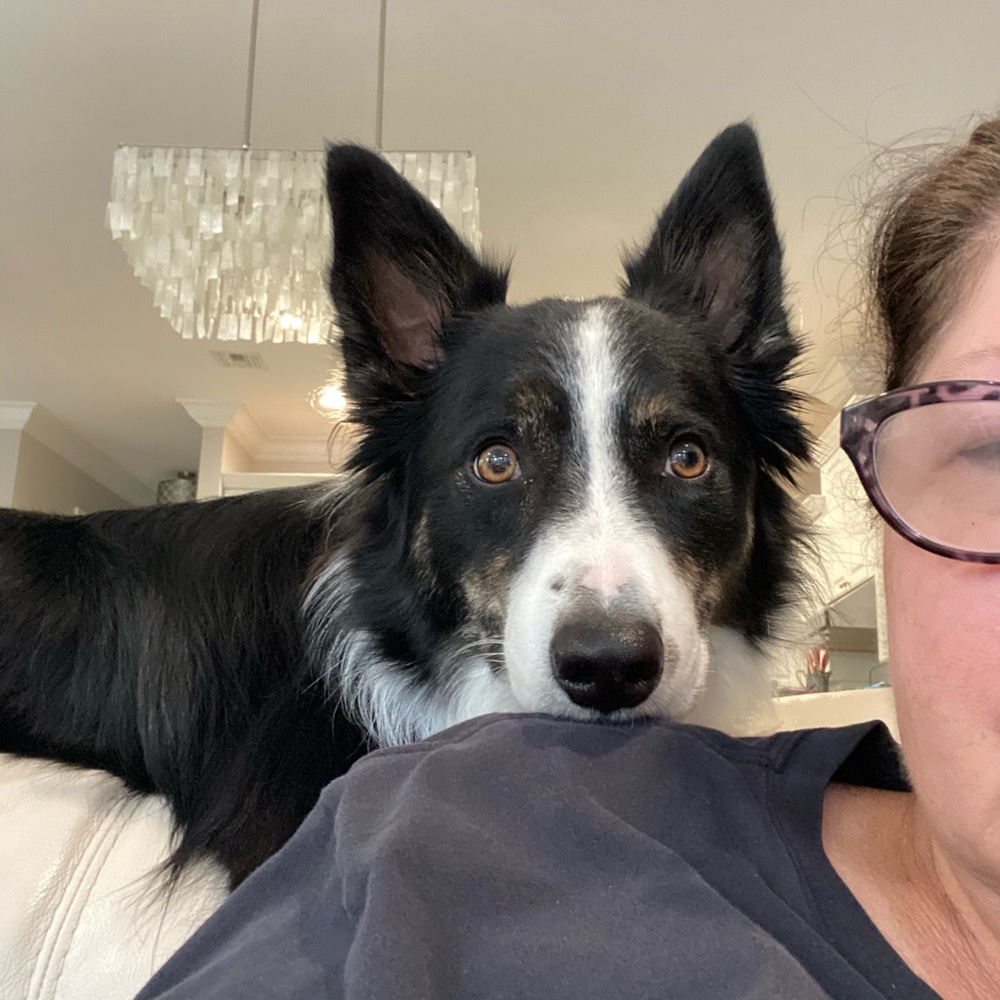 Meet your Posher, Margaret